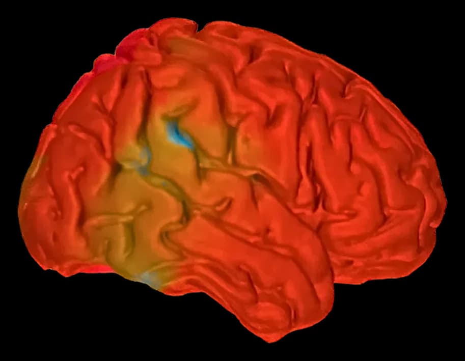 Brain map înainte de program